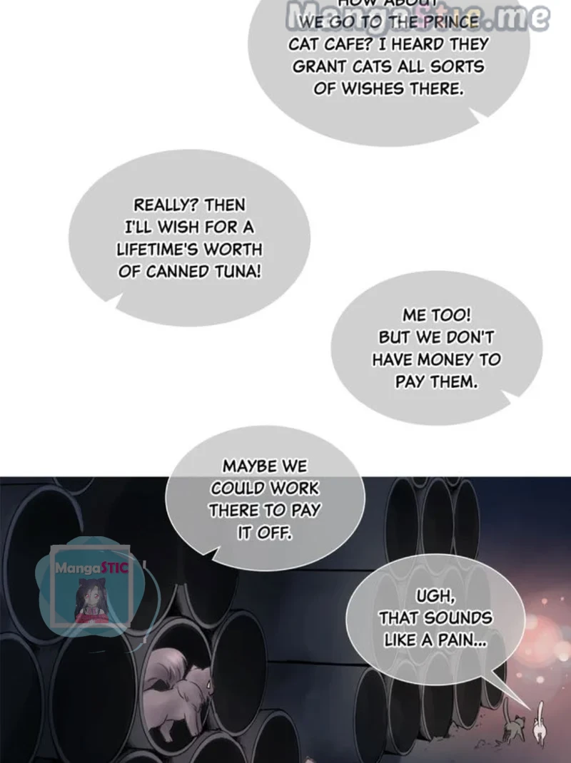 The Prince is a Cat Chapter 8 - page 31