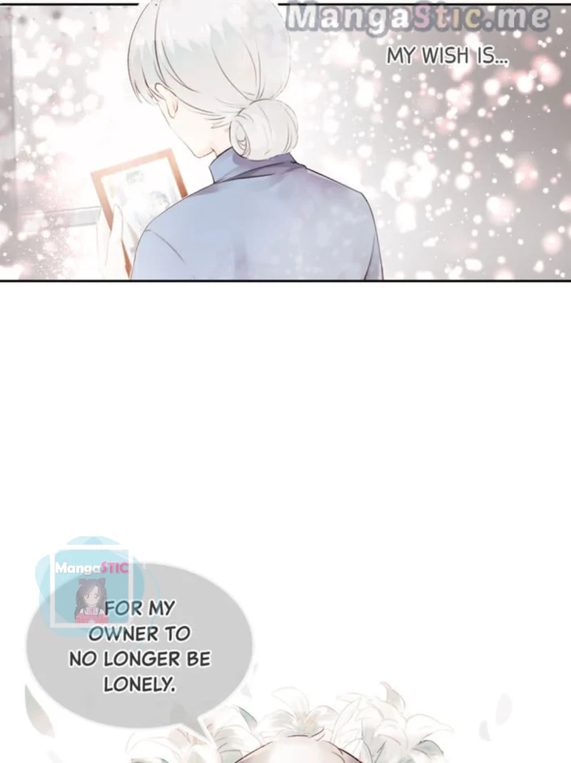 The Prince is a Cat Chapter 8 - page 36