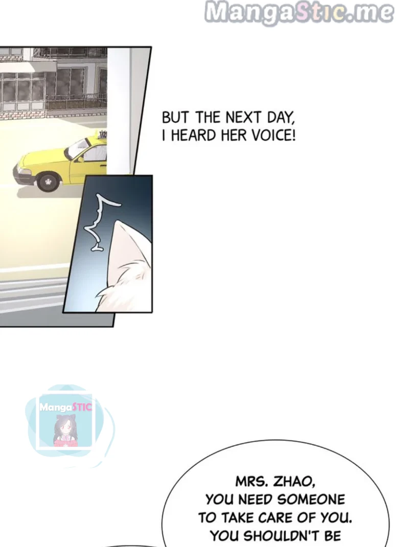 The Prince is a Cat Chapter 8 - page 4