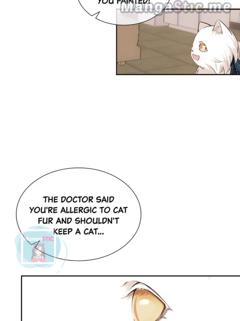 The Prince is a Cat Chapter 8 - page 8