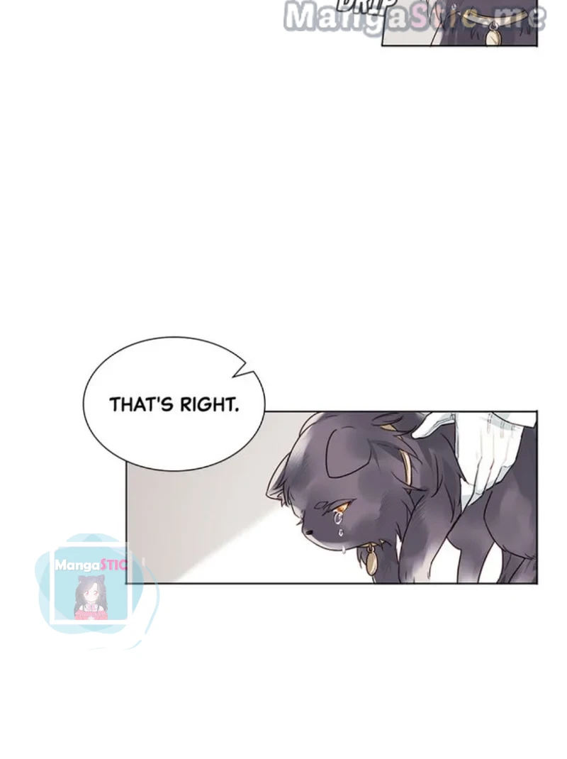 The Prince is a Cat Chapter 7 - page 12