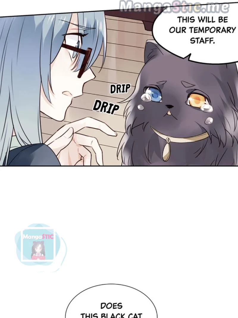 The Prince is a Cat Chapter 7 - page 14