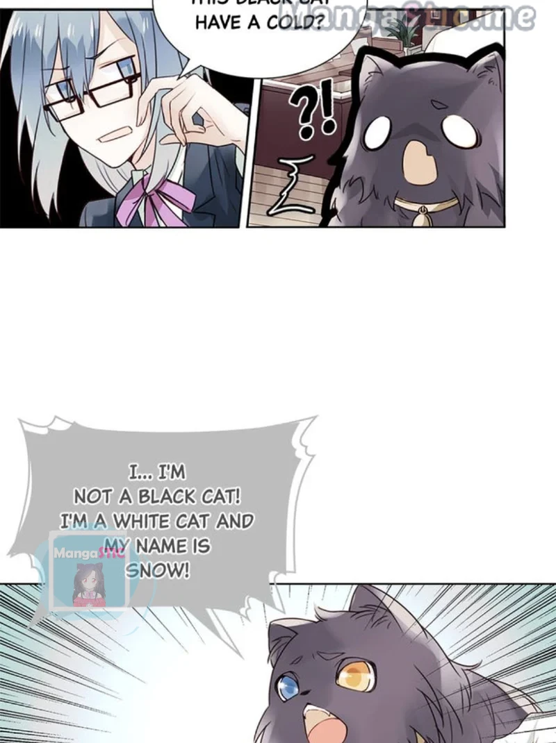 The Prince is a Cat Chapter 7 - page 15