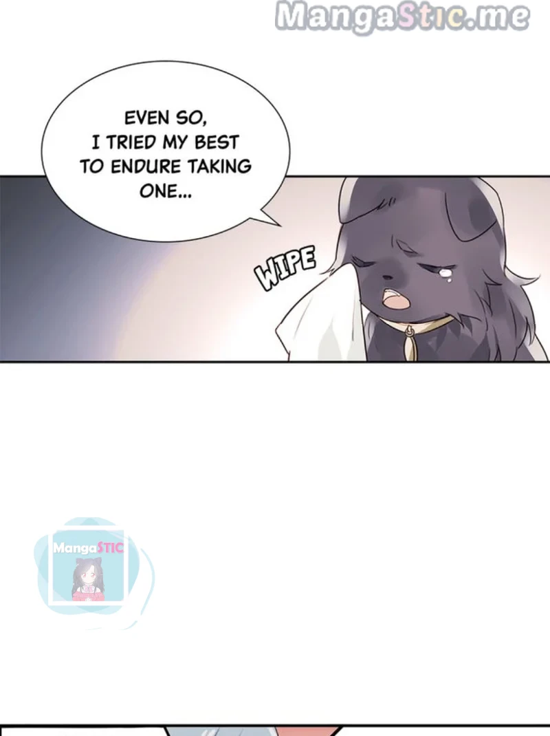 The Prince is a Cat Chapter 7 - page 19