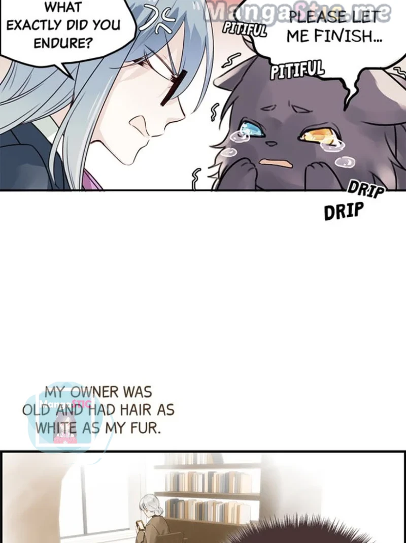 The Prince is a Cat Chapter 7 - page 20