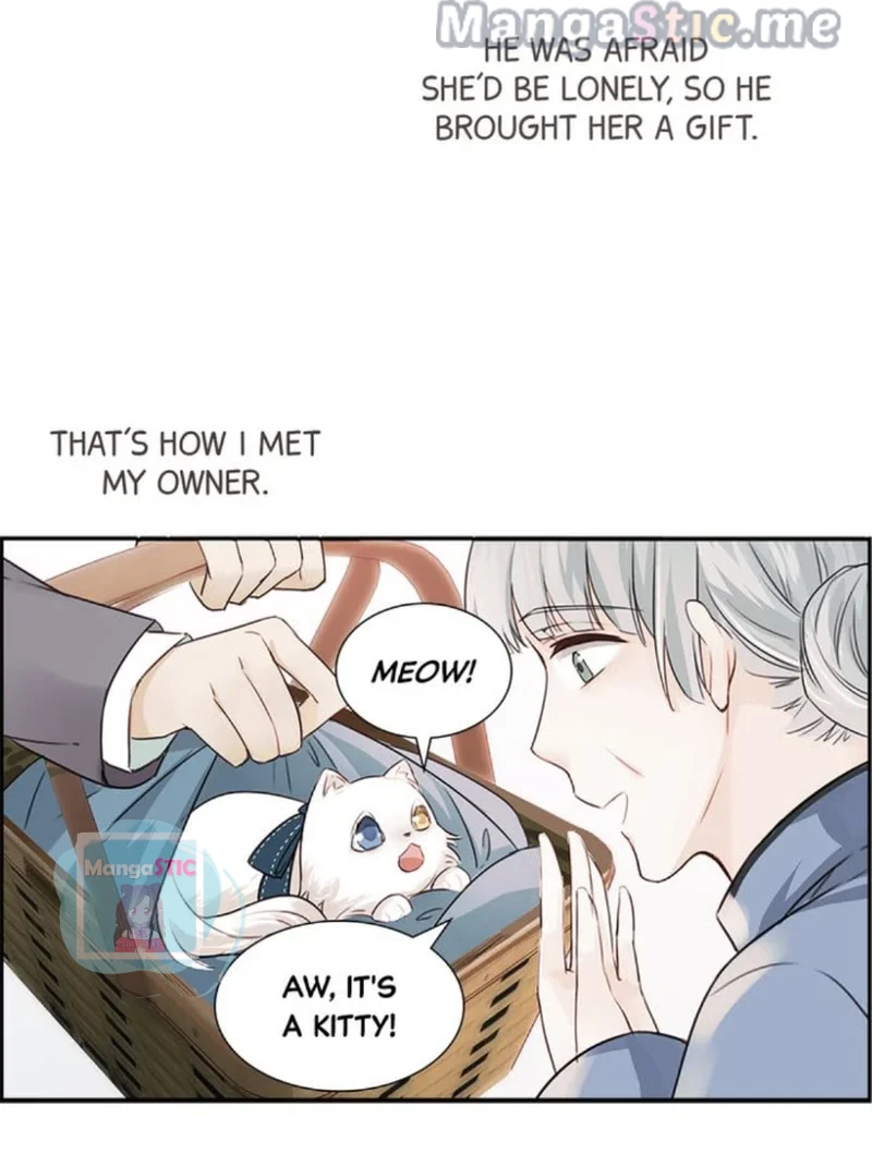 The Prince is a Cat Chapter 7 - page 25