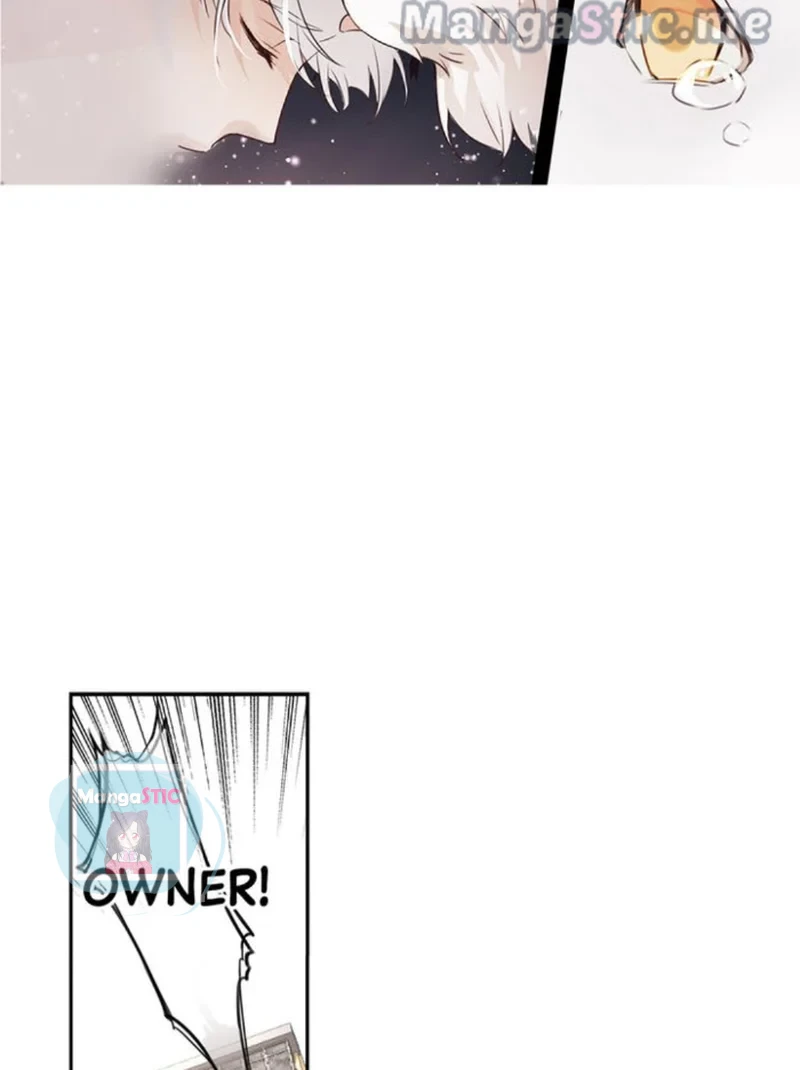 The Prince is a Cat Chapter 7 - page 37