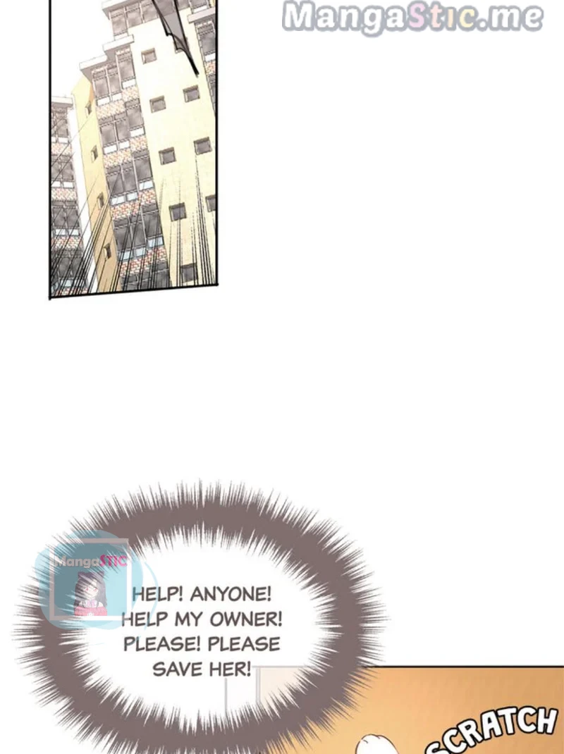 The Prince is a Cat Chapter 7 - page 38