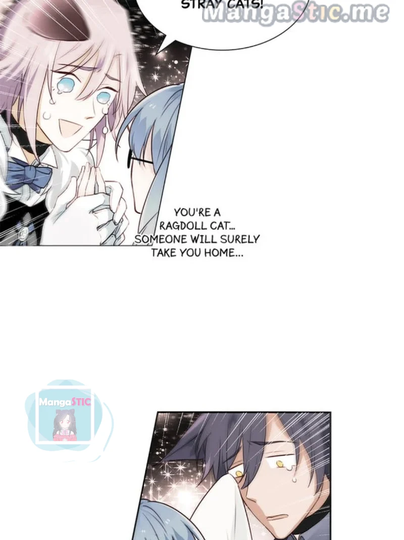 The Prince is a Cat Chapter 7 - page 4