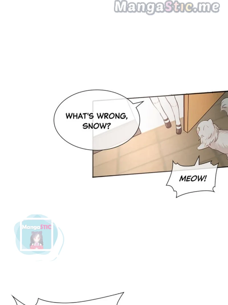 The Prince is a Cat Chapter 7 - page 40