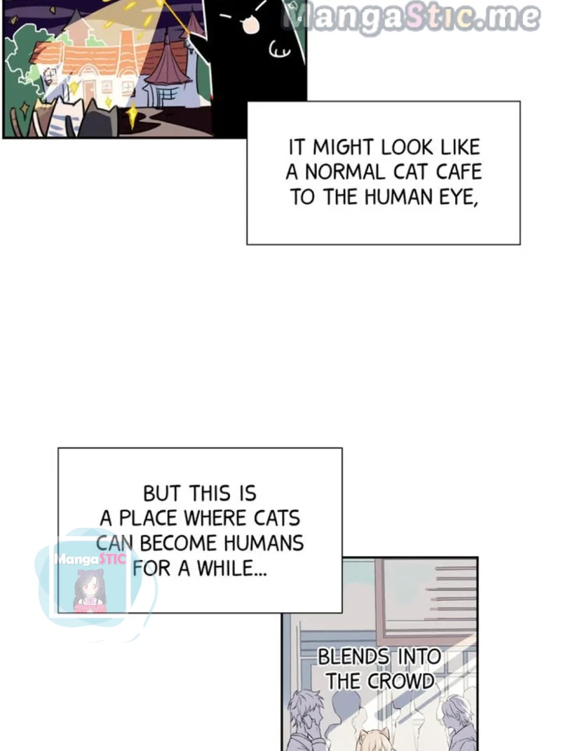 The Prince is a Cat Chapter 6 - page 16