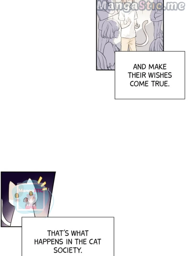 The Prince is a Cat Chapter 6 - page 17