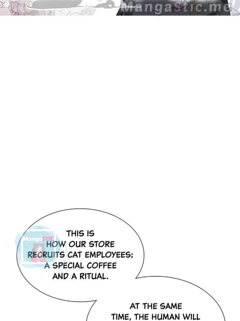 The Prince is a Cat Chapter 10 - page 2