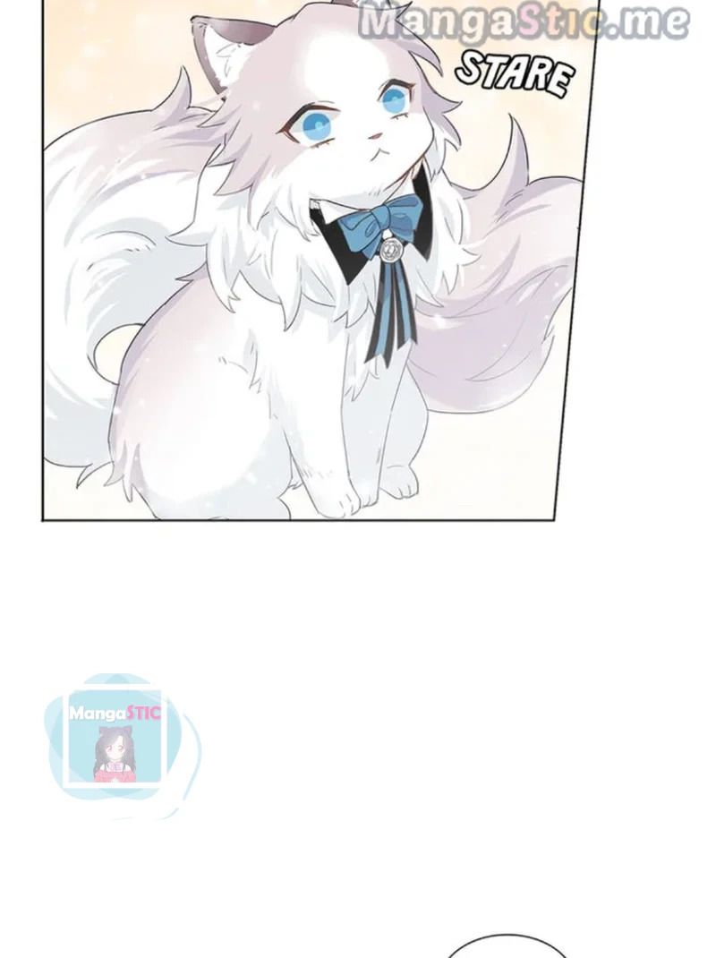 The Prince is a Cat Chapter 2 - page 33