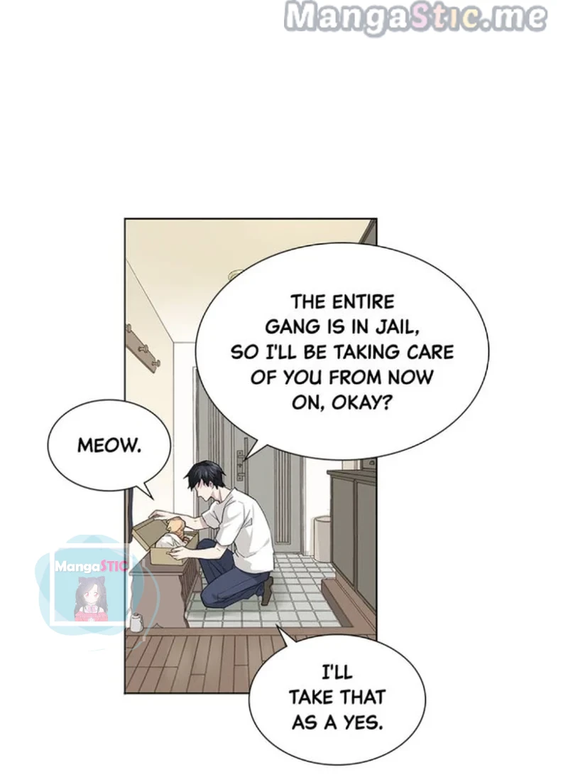 The Prince is a Cat Chapter 17 - page 11