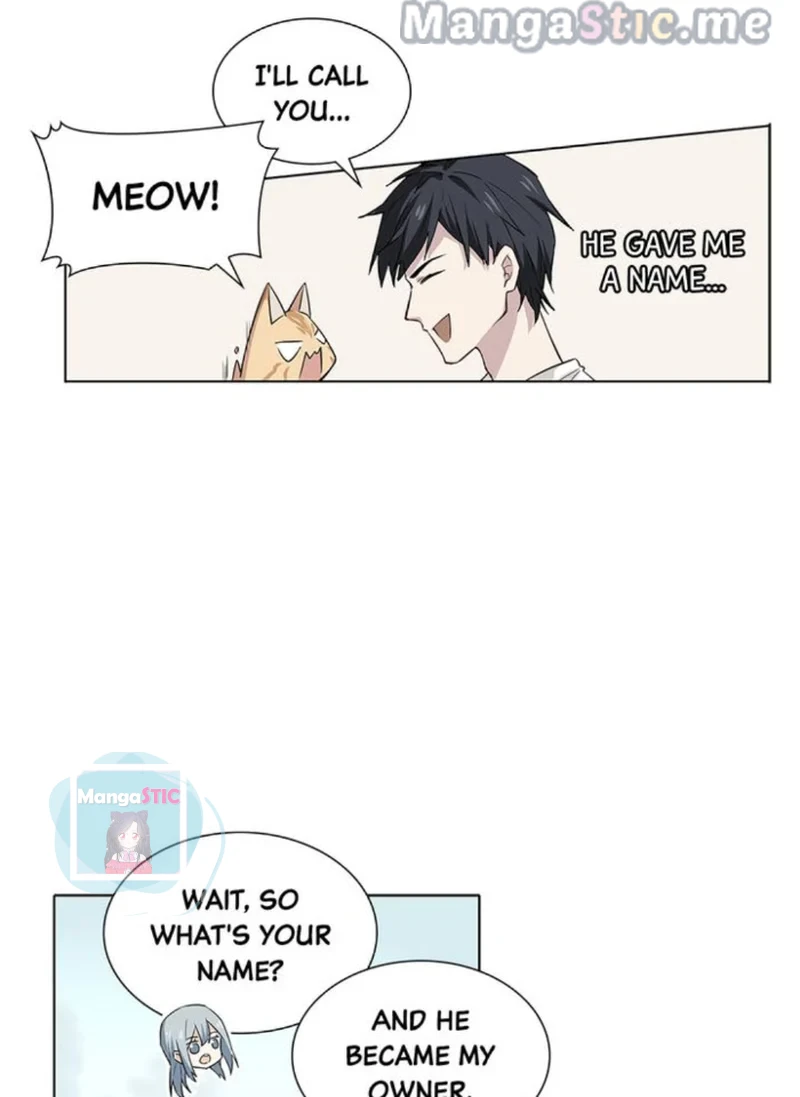 The Prince is a Cat Chapter 17 - page 15