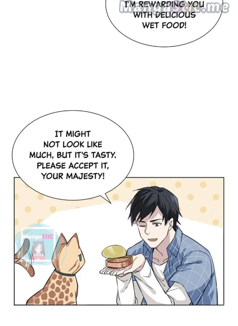 The Prince is a Cat Chapter 17 - page 17