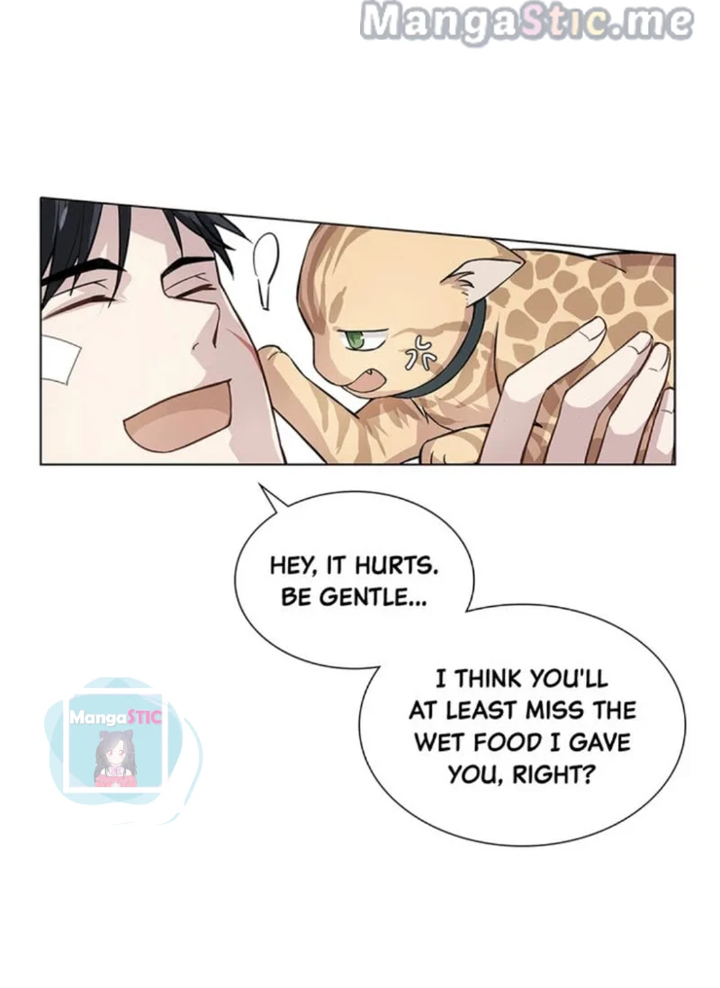 The Prince is a Cat Chapter 17 - page 25
