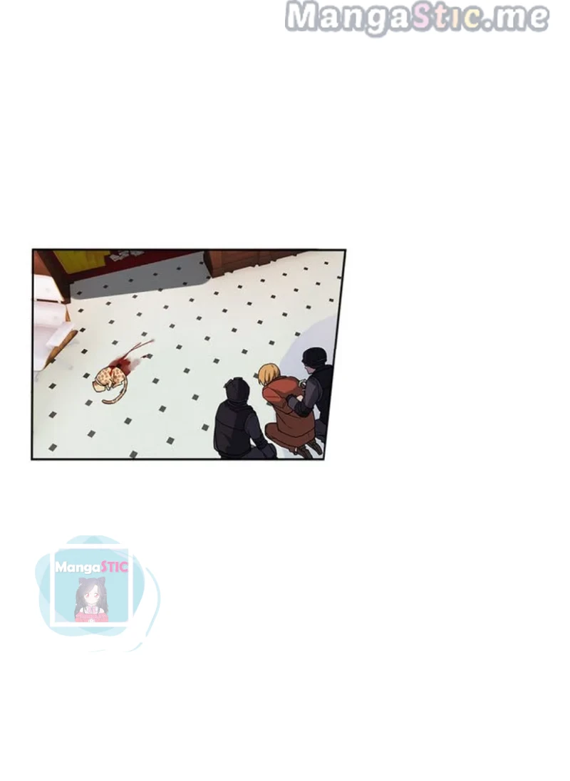 The Prince is a Cat Chapter 17 - page 3
