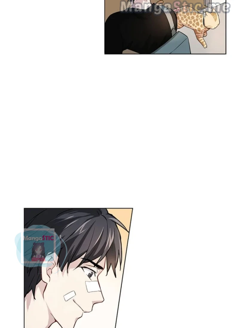 The Prince is a Cat Chapter 17 - page 37