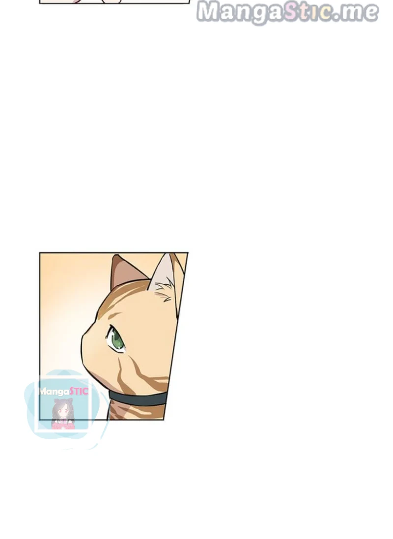The Prince is a Cat Chapter 17 - page 38
