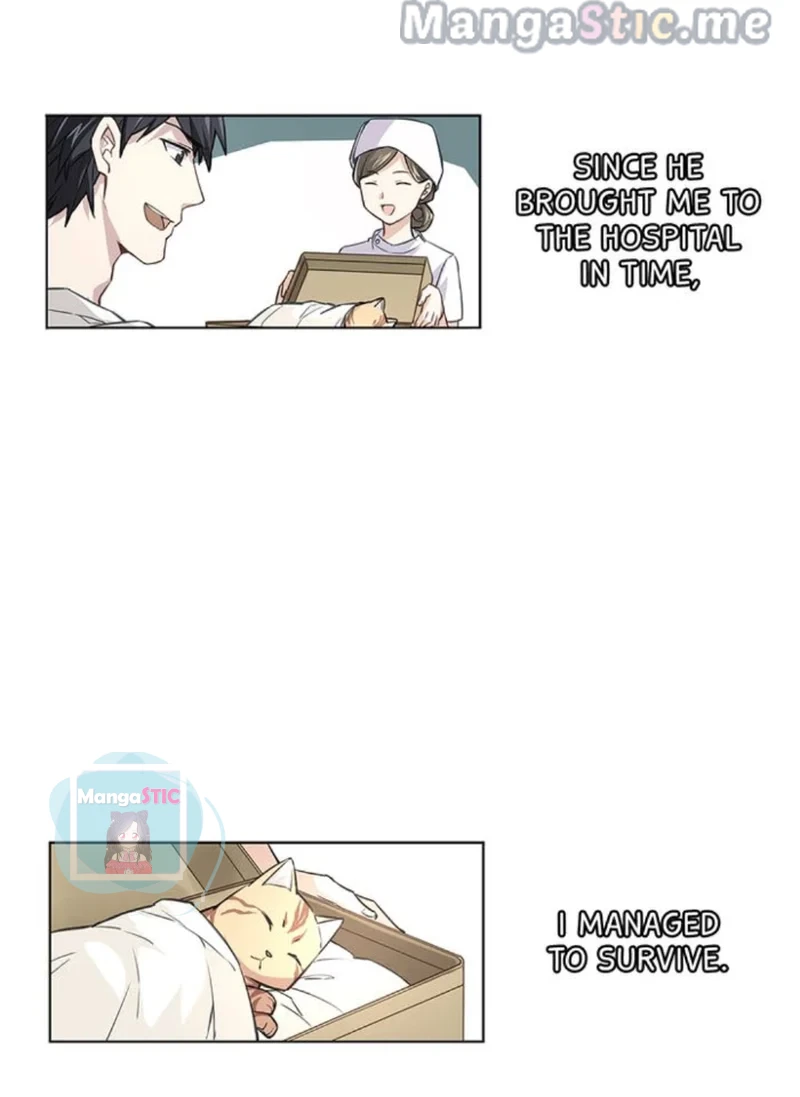The Prince is a Cat Chapter 17 - page 9