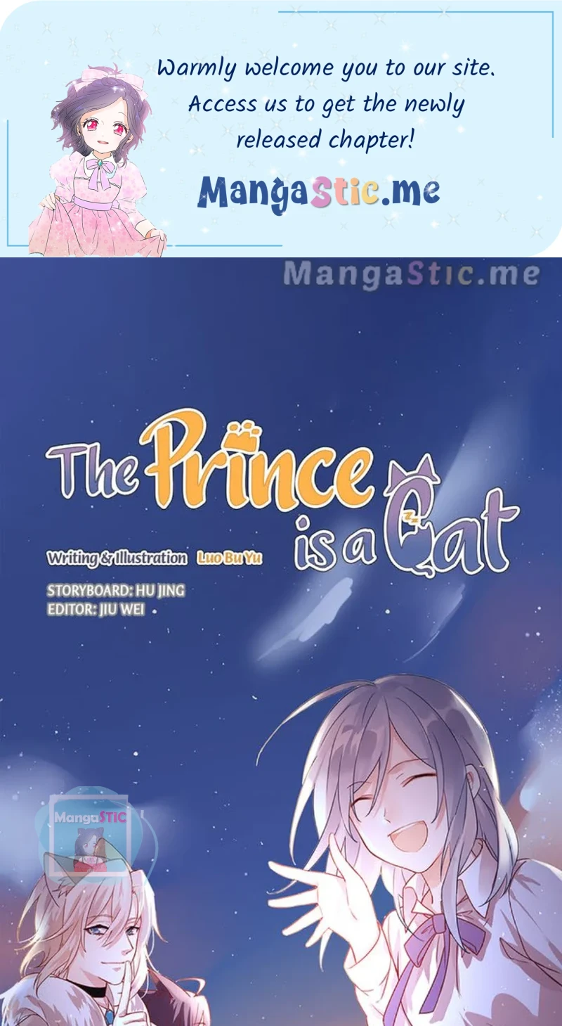 The Prince is a Cat Chapter 16 - page 1