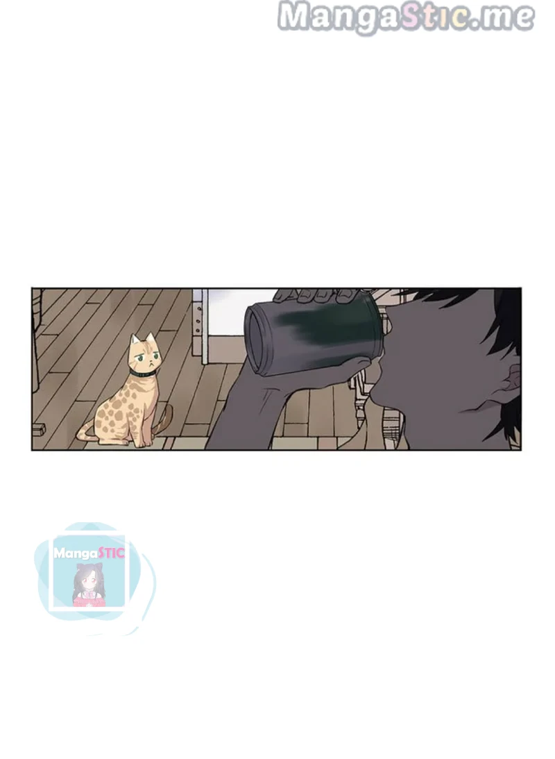 The Prince is a Cat Chapter 16 - page 9