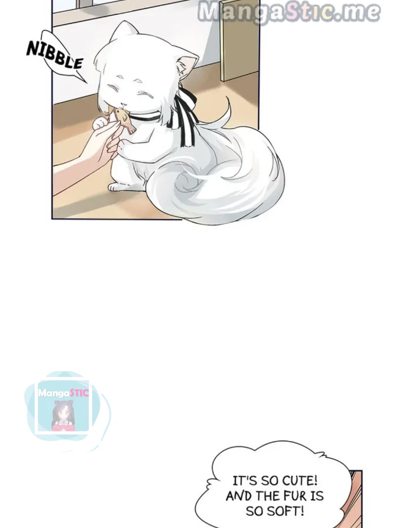 The Prince is a Cat Chapter 15 - page 20