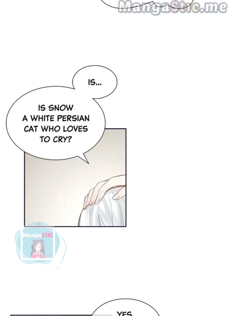The Prince is a Cat Chapter 13 - page 17