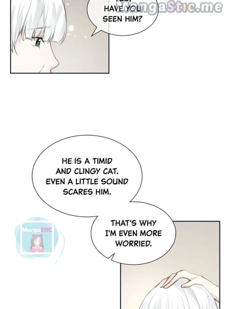 The Prince is a Cat Chapter 13 - page 18