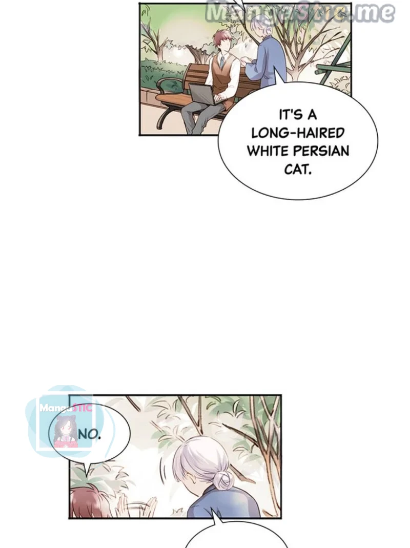 The Prince is a Cat Chapter 11 - page 17