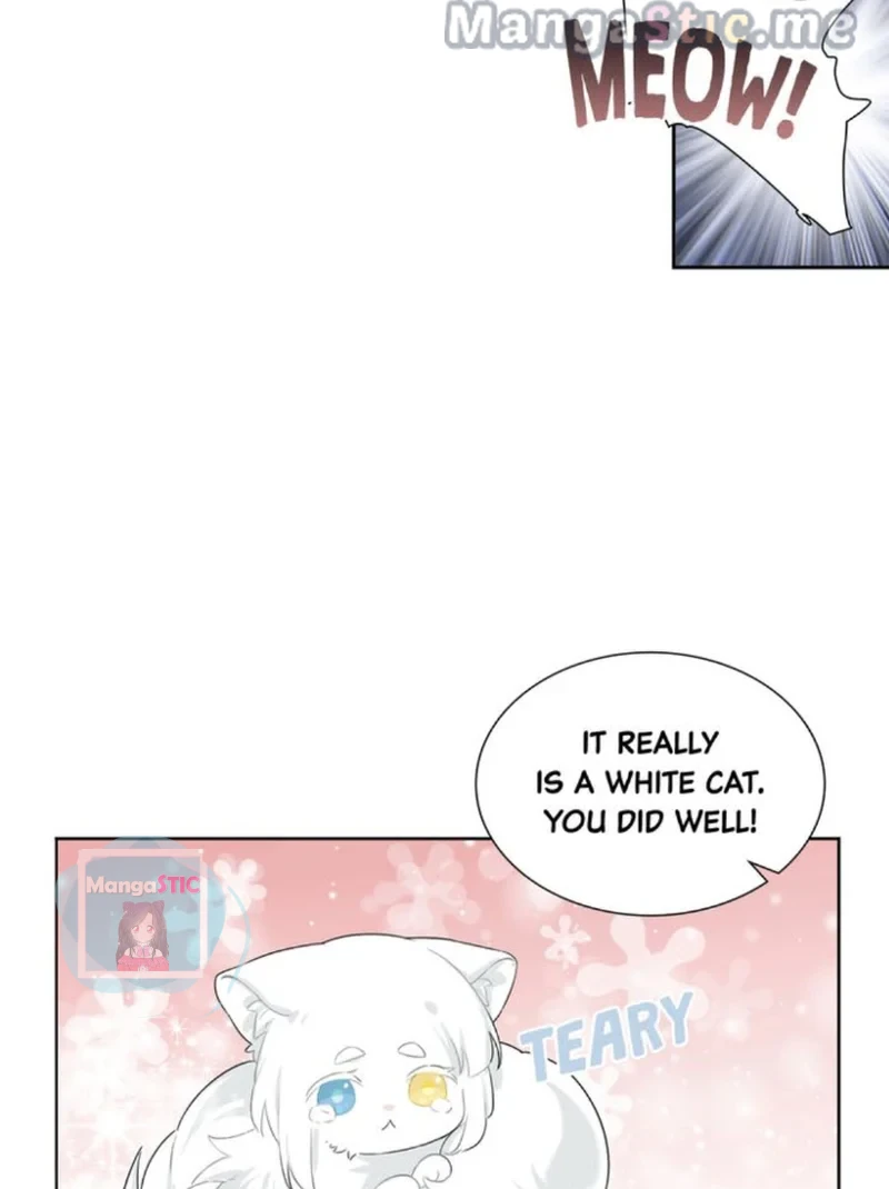 The Prince is a Cat Chapter 9 - page 9