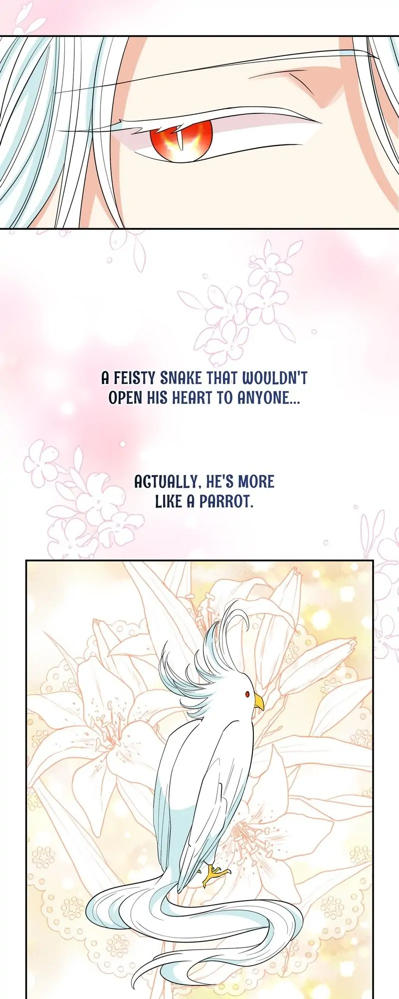 The Moon Witch and The Sun King: My Salvation Chapter 95 - page 5
