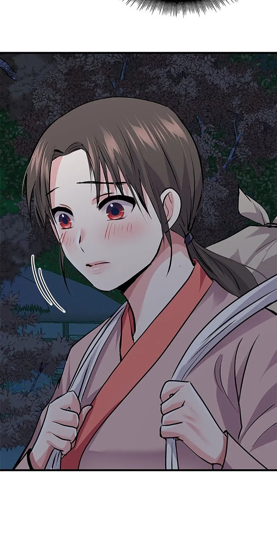 Heilang: The Bride Of The Black Wolf chapter 3 - page 29