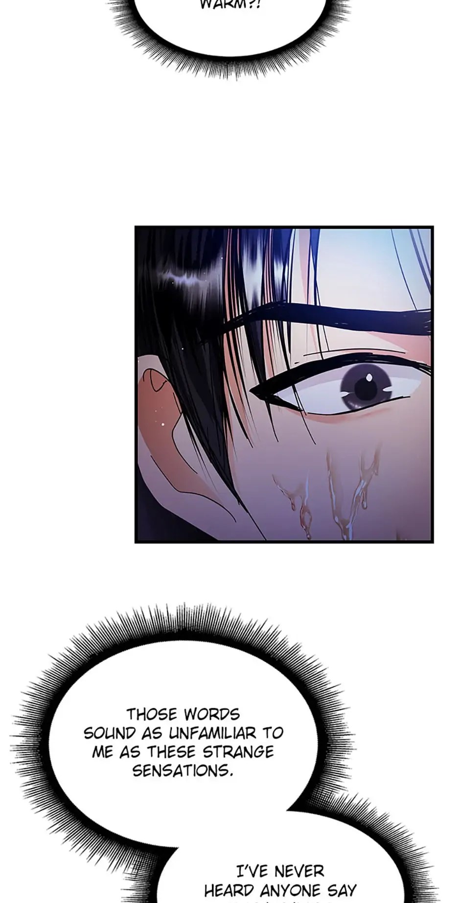 Heilang: The Bride Of The Black Wolf chapter 33 - page 78