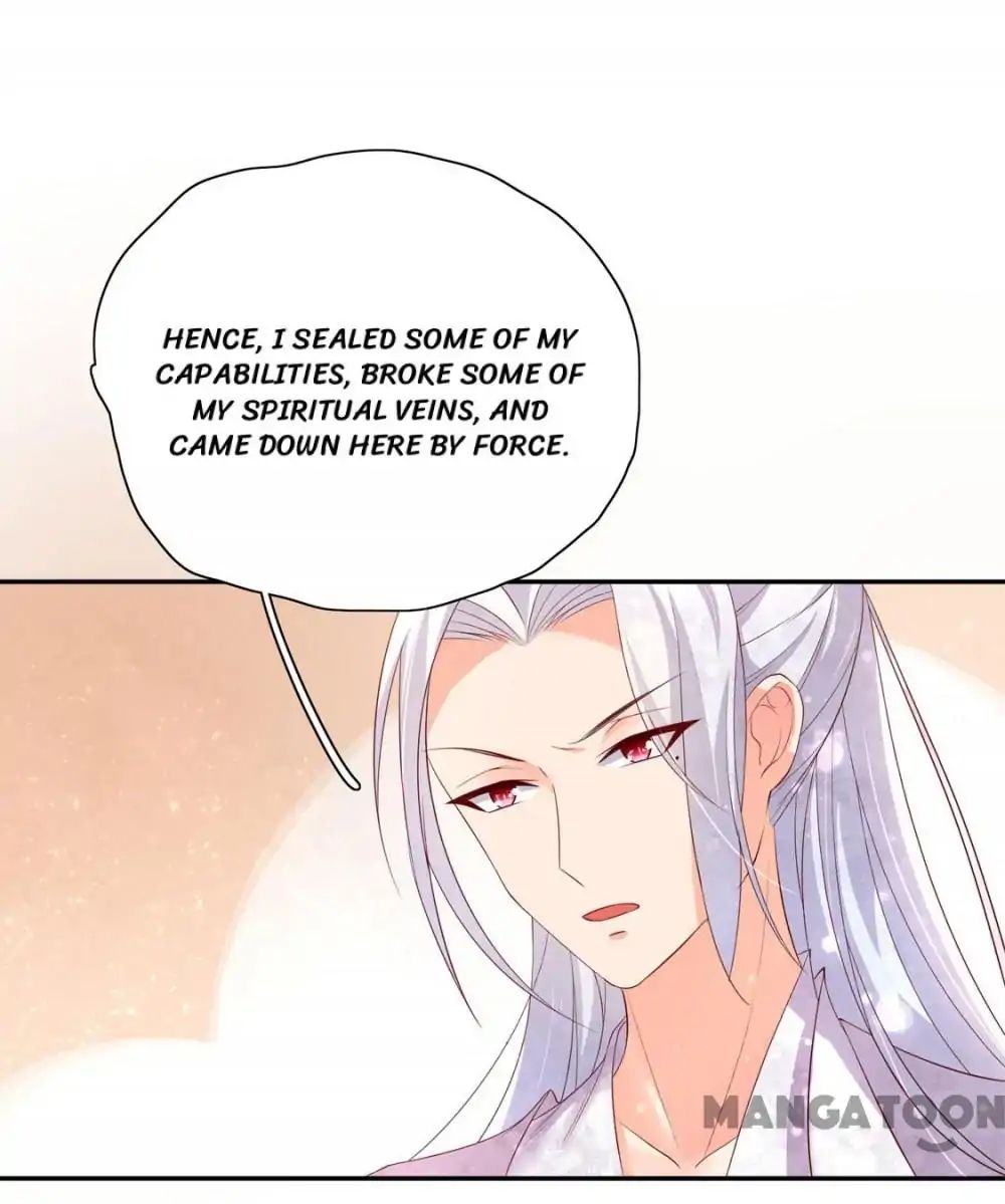 Princess’s Happily-ever-after Marriage chapter 87 - page 24