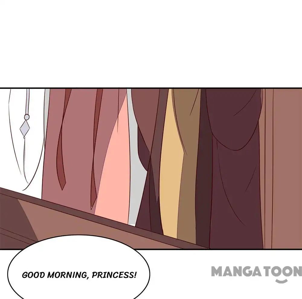 Princess’s Happily-ever-after Marriage chapter 56 - page 31