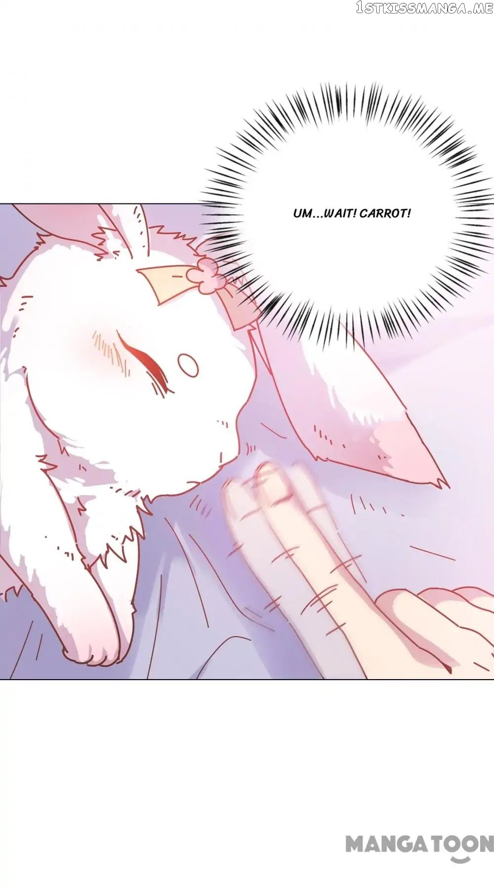 Prince’s Little Bunny chapter 42 - page 1