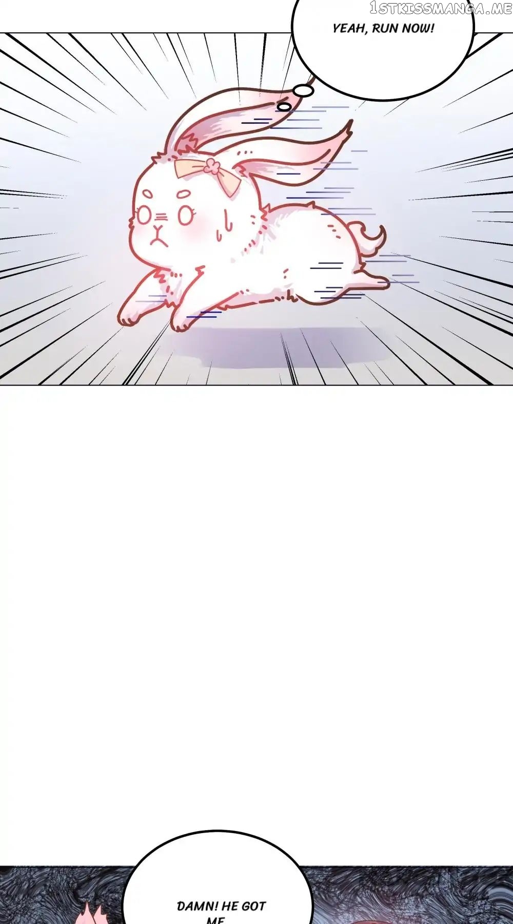 Prince’s Little Bunny chapter 42 - page 5
