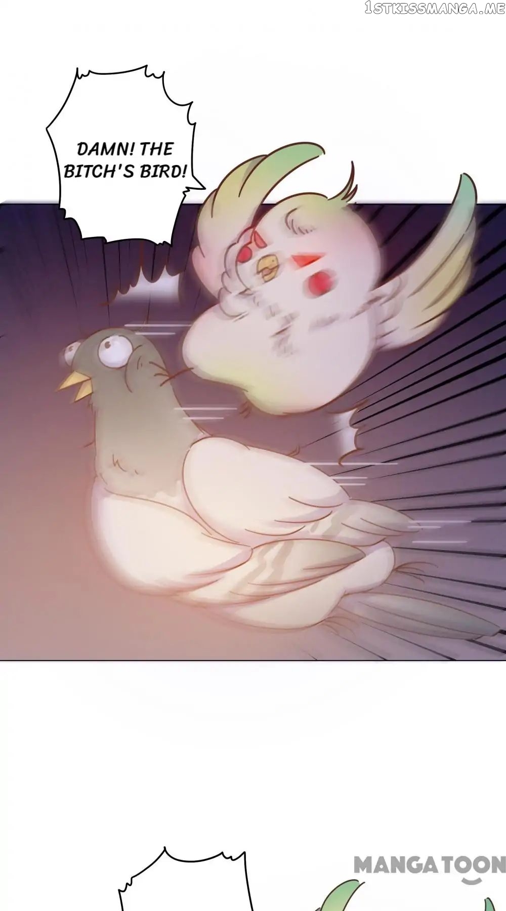 Prince’s Little Bunny chapter 36 - page 11