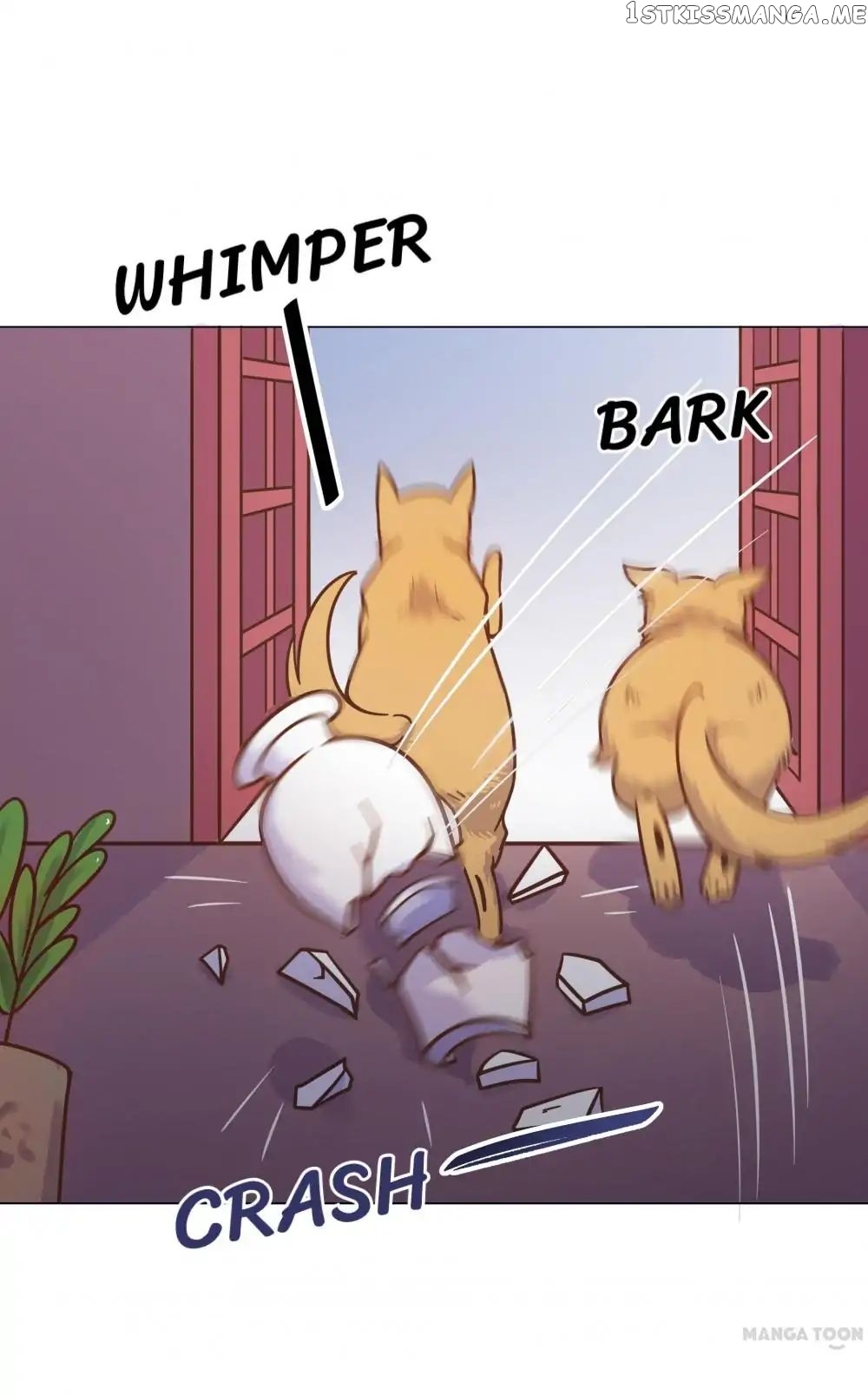 Prince’s Little Bunny chapter 20 - page 18