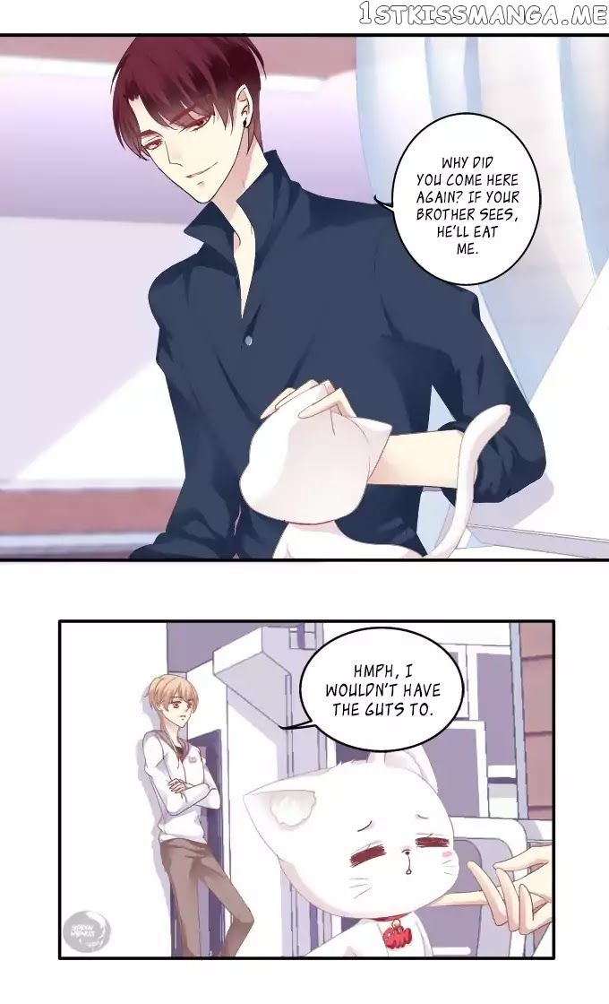The Temptation of a Cat Demon chapter 44 - page 5