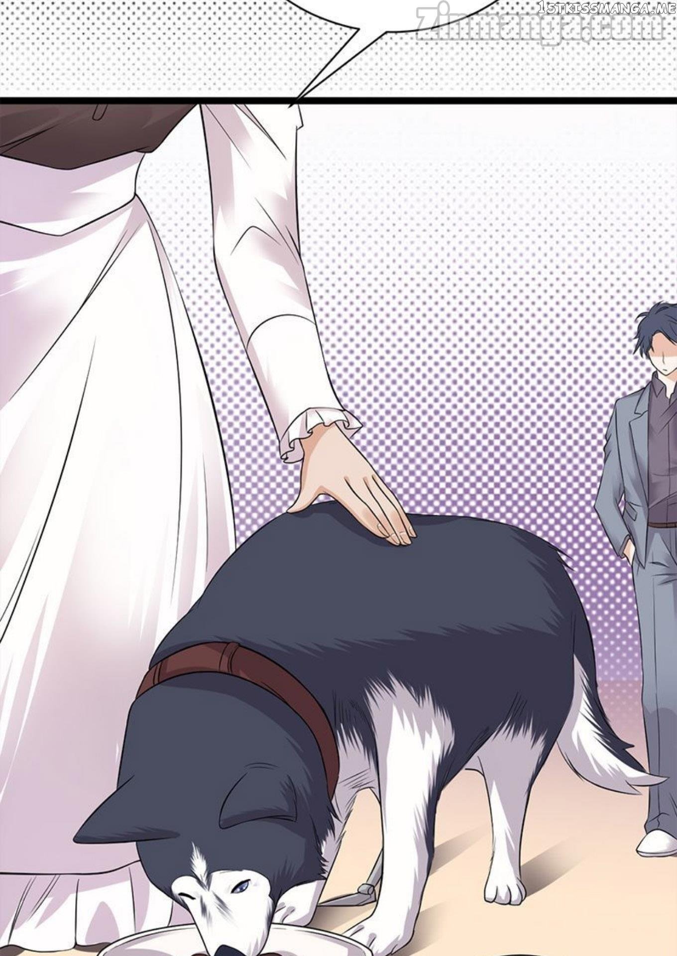 Pampered Mr. Lu’s Wife And Fateful Meeting chapter 27 - page 25