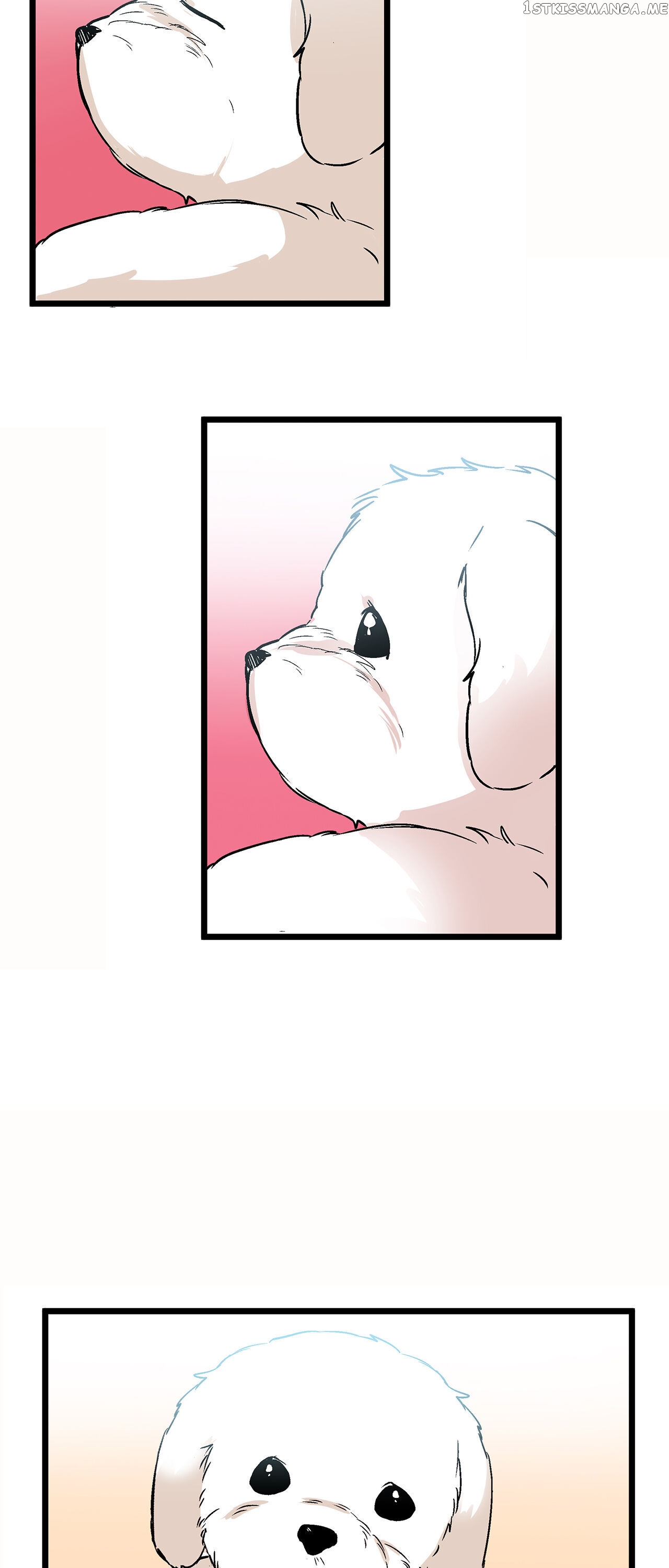 Living as an Emperor’s Fiance chapter 29 - page 11