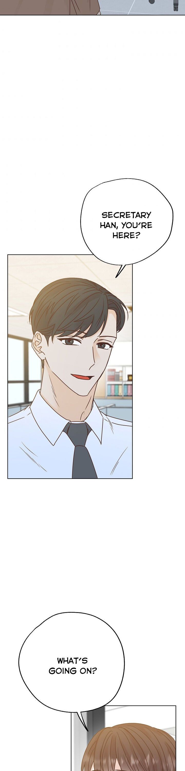 Disguised As A Male Secretary chapter 45 - page 37