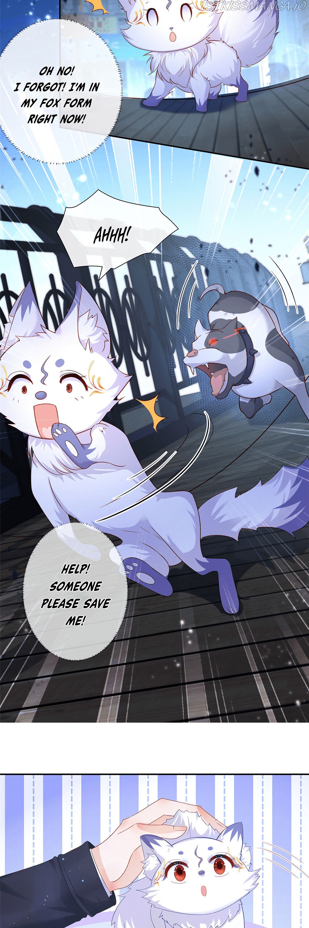 The Killer Boss is raising a Fox Chapter 1 - page 12
