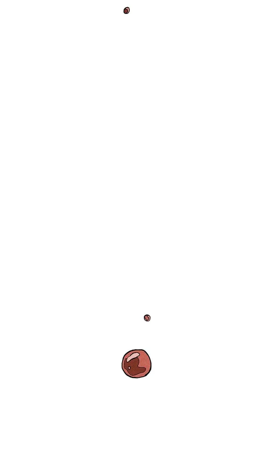 Concubine Walkthrough chapter 65 - page 64