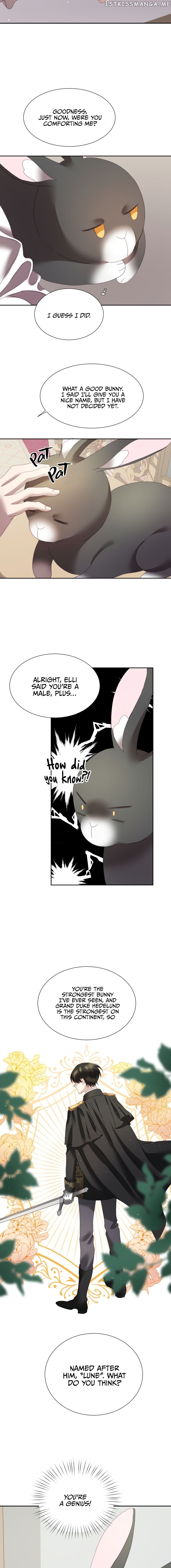 The Fake Princess’ OP Bunny chapter 4 - page 12