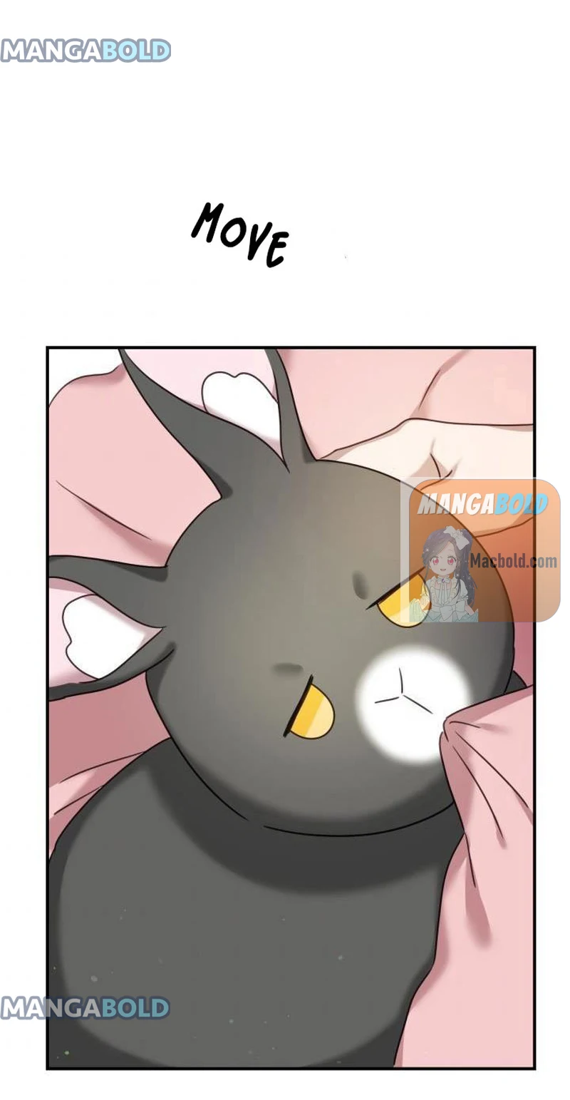 The Fake Princess’ OP Bunny chapter 47 - page 44